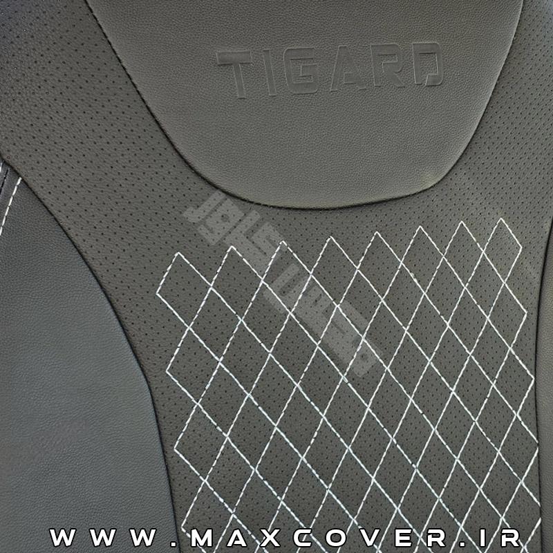 MAX-Tigard-X35-01